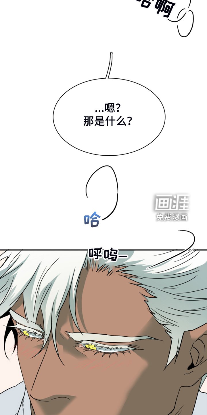 第251章：【番外】期待的洞房
