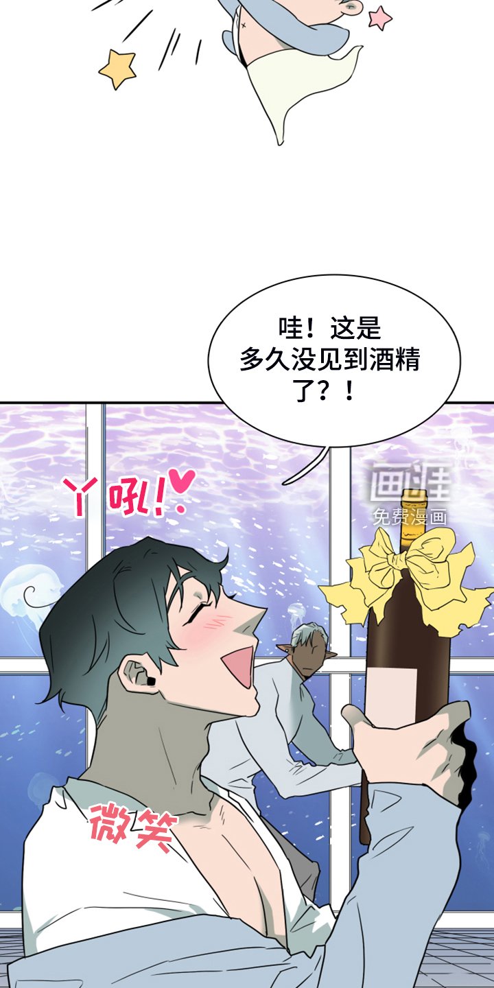 第251章：【番外】期待的洞房