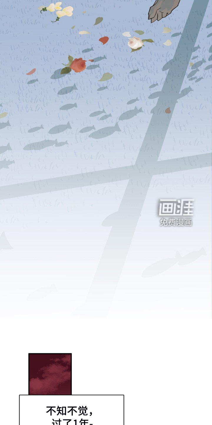 第254章：【番外】更重要的事