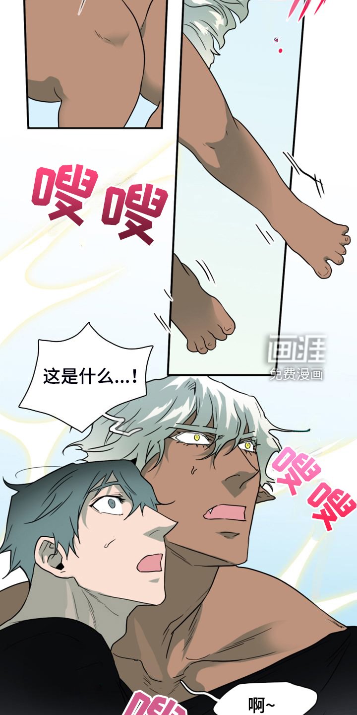 第257章：【番外】诞生