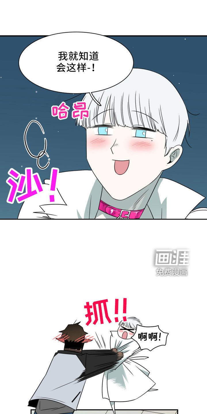 第275章：【番外】开始了 约会