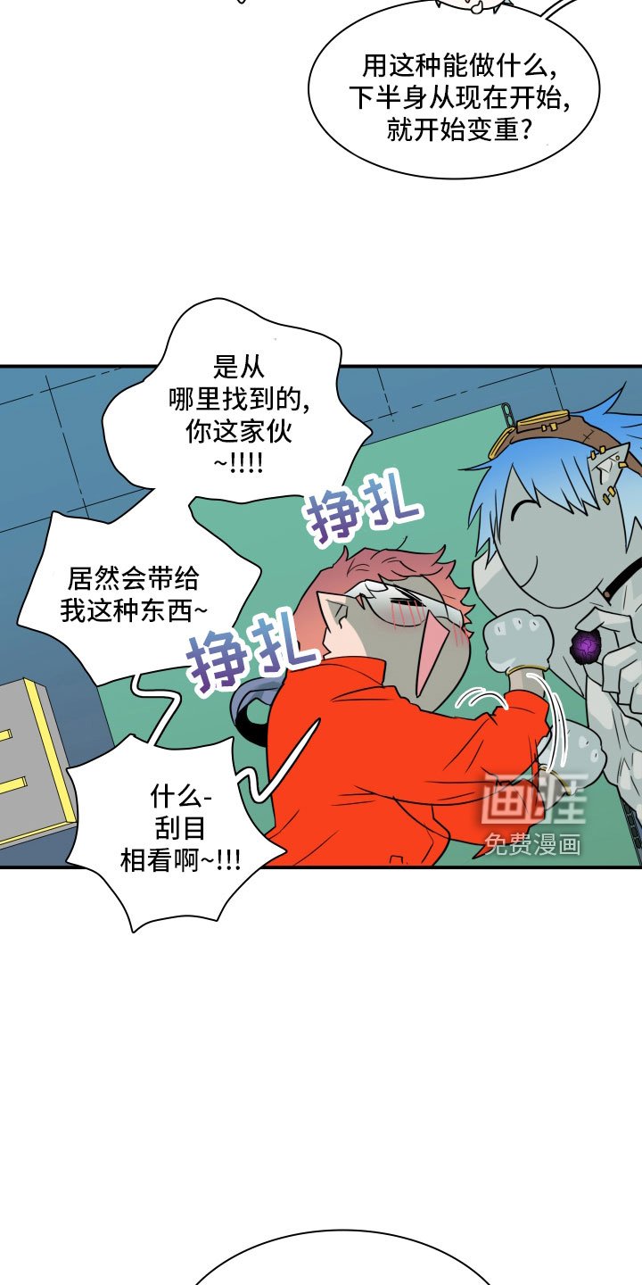第281章：【番外】太幸福