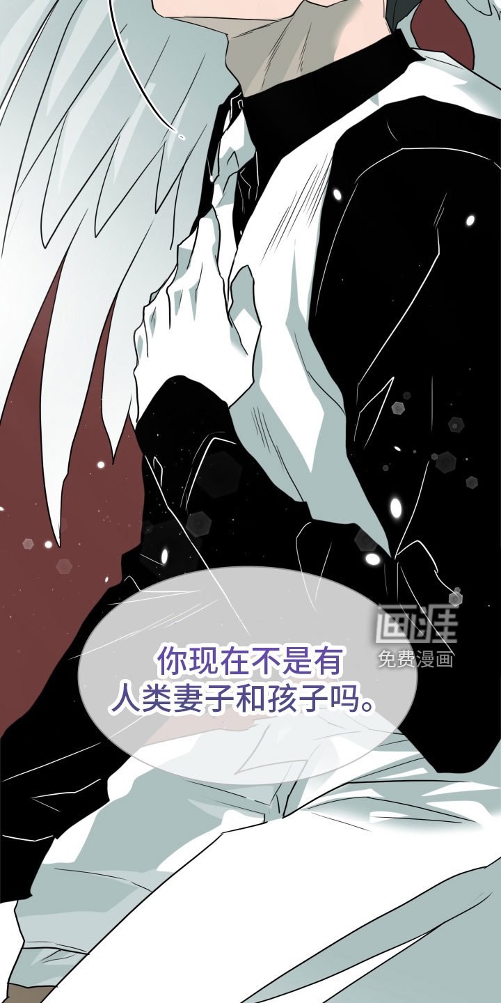 第281章：【番外】太幸福