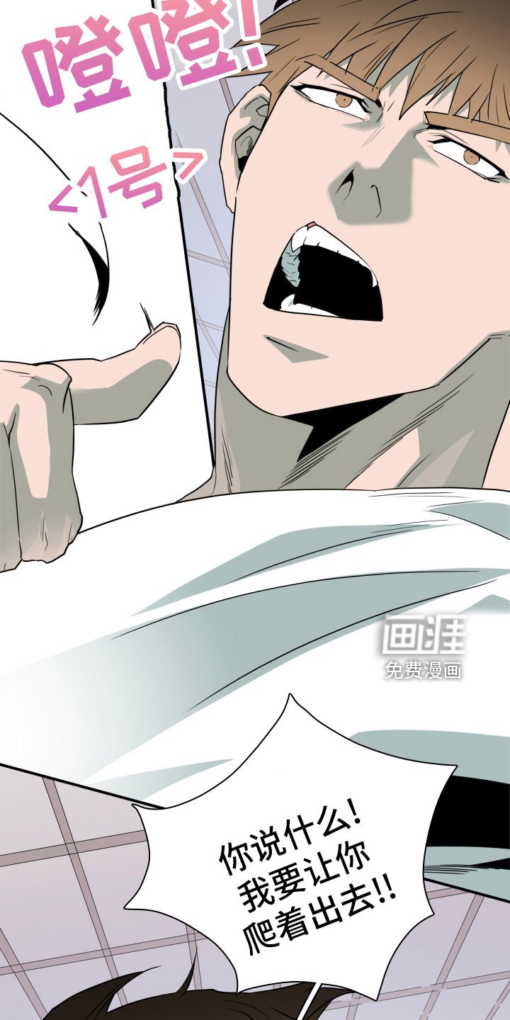 第281章：【番外】太幸福