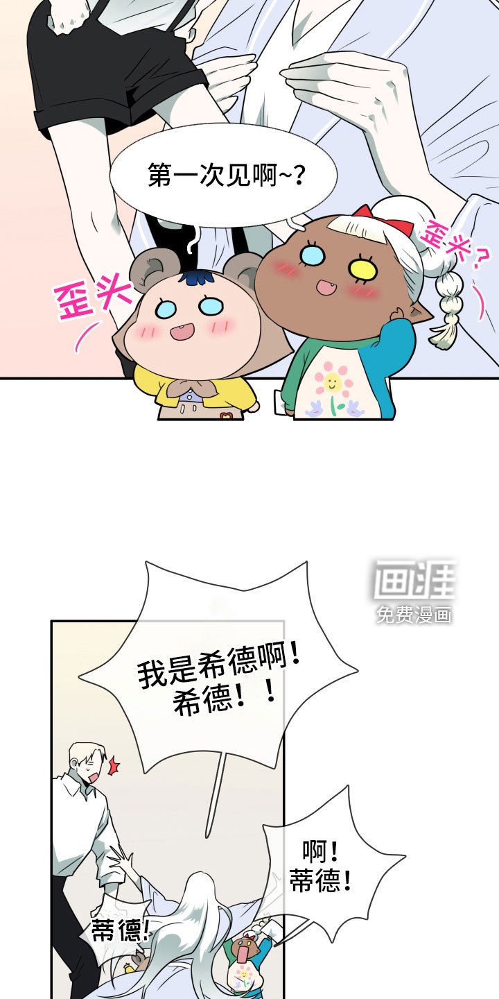 第289章：【番外】粉丝团+1