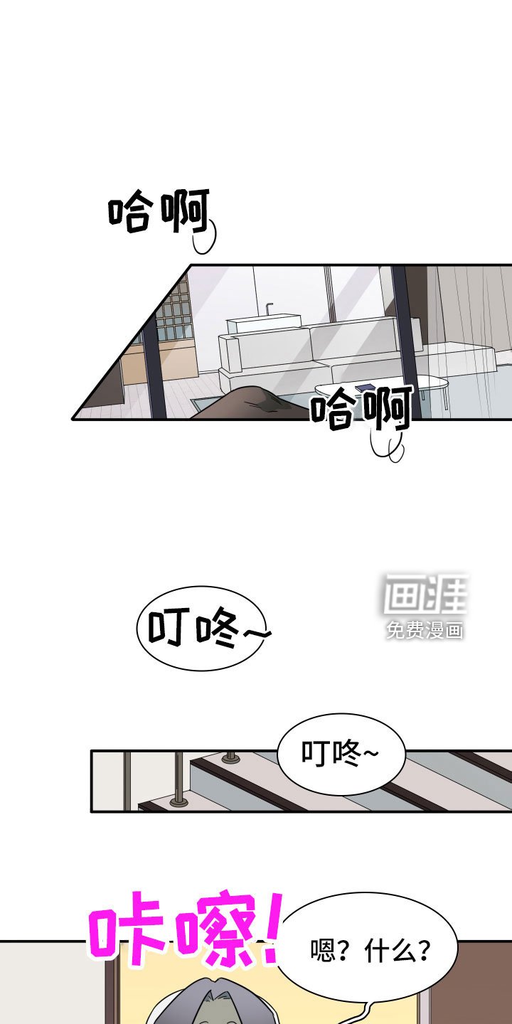 第289章：【番外】粉丝团+1