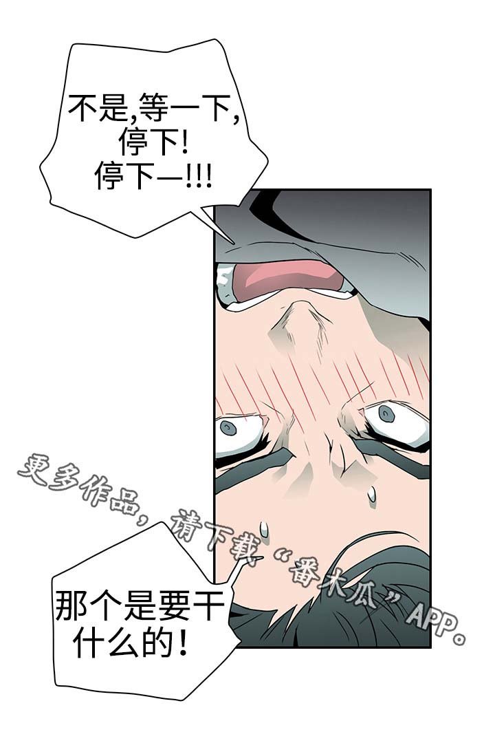 第29章：着手调查