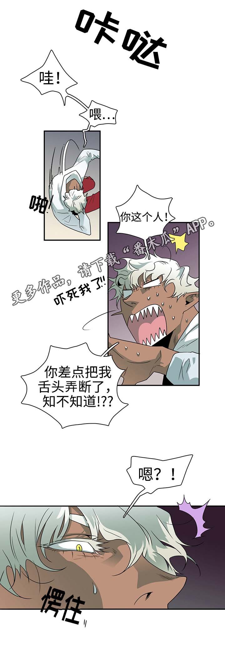 第29章：着手调查