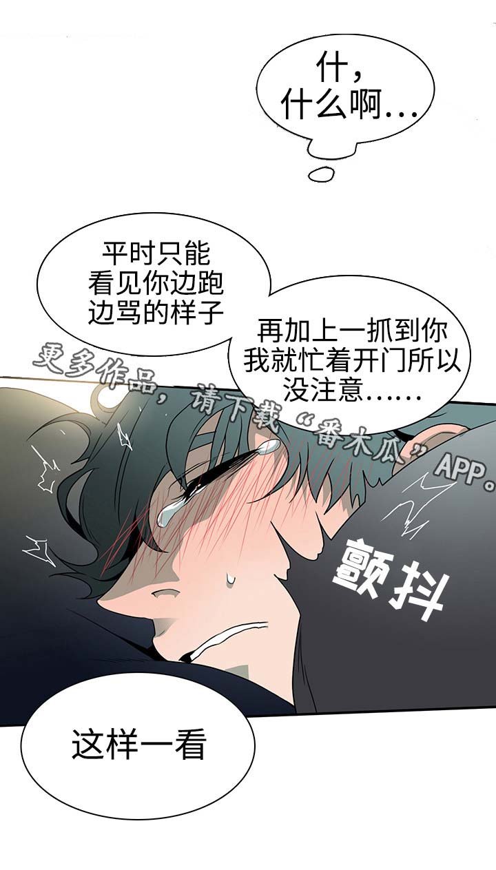 第29章：着手调查