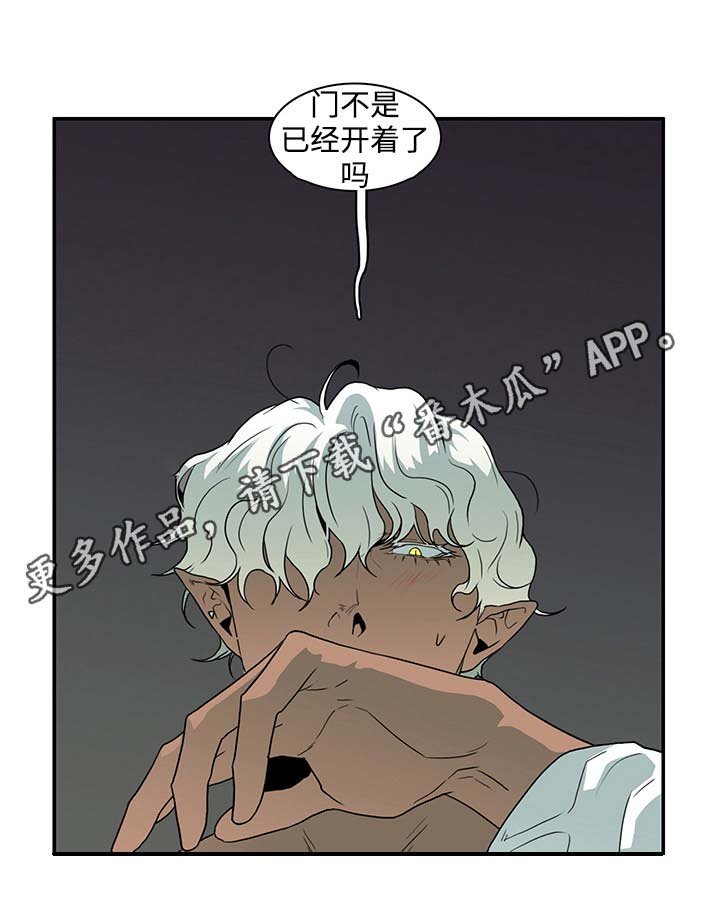 第29章：着手调查