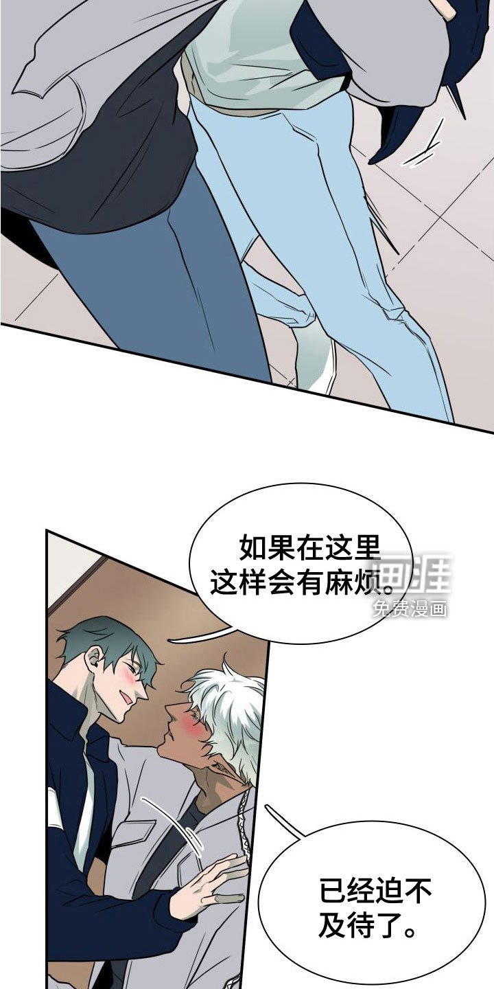 第293章：【番外】可爱情侣