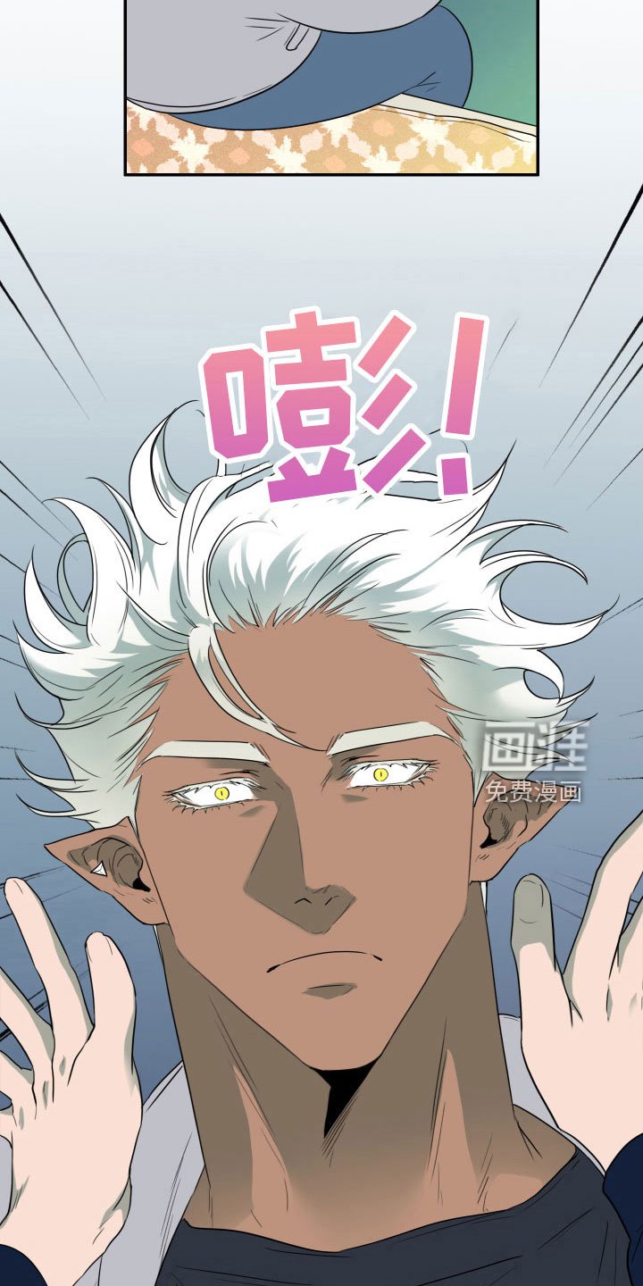 第298章：【番外】回去吧
