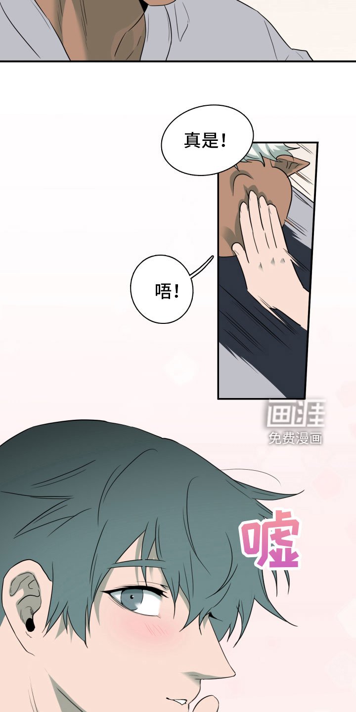 第299章：【番外】不要犯浑