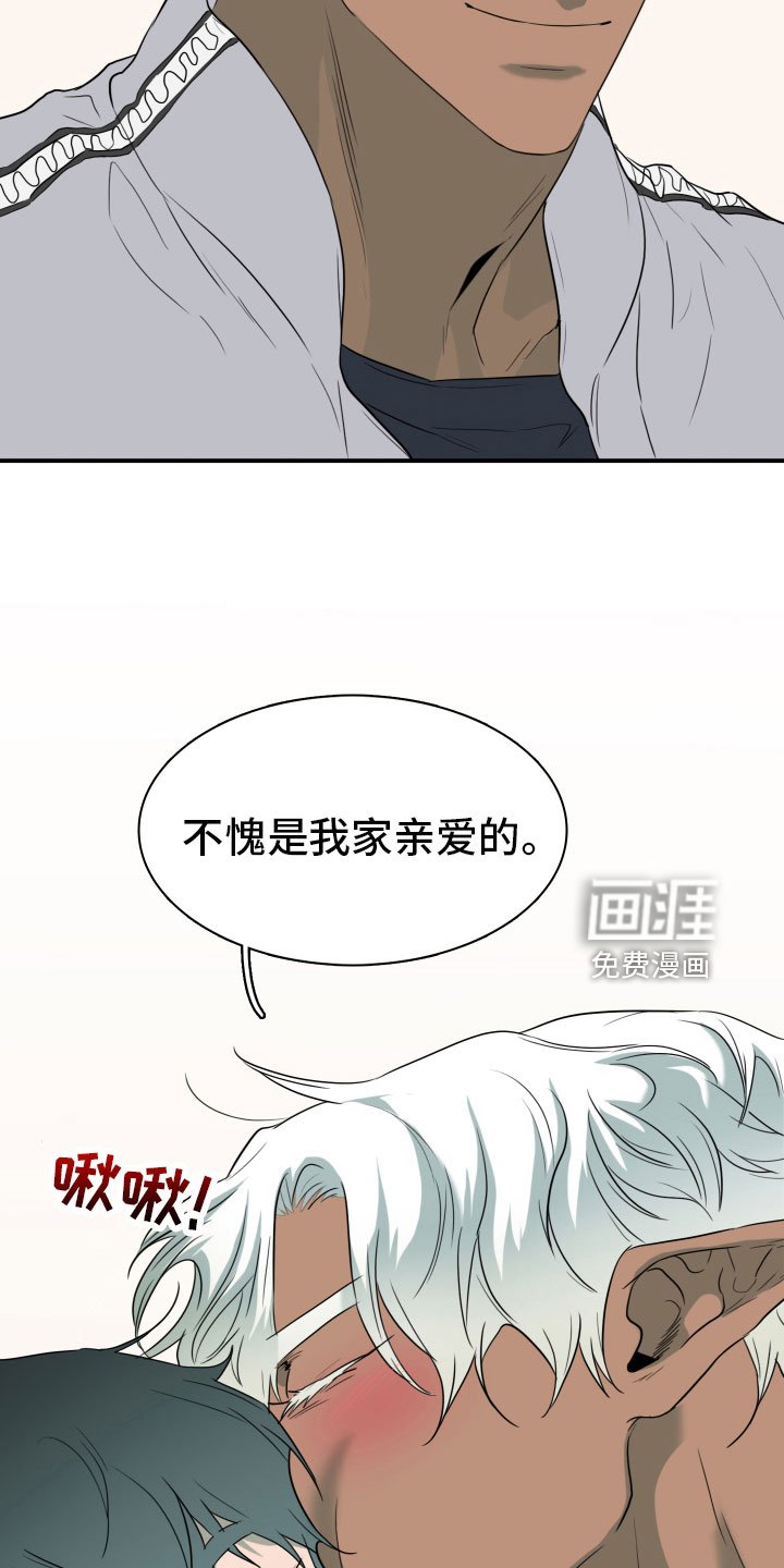 第299章：【番外】不要犯浑
