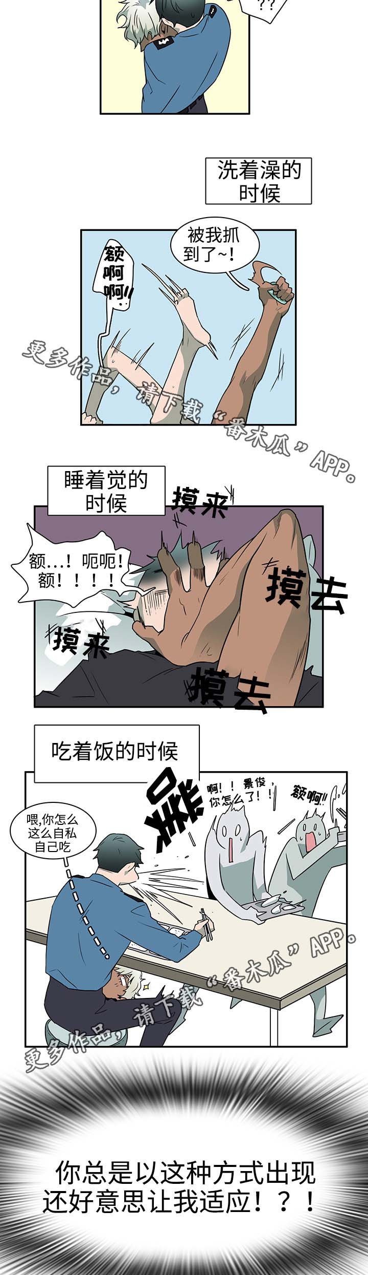 第30章：崩溃