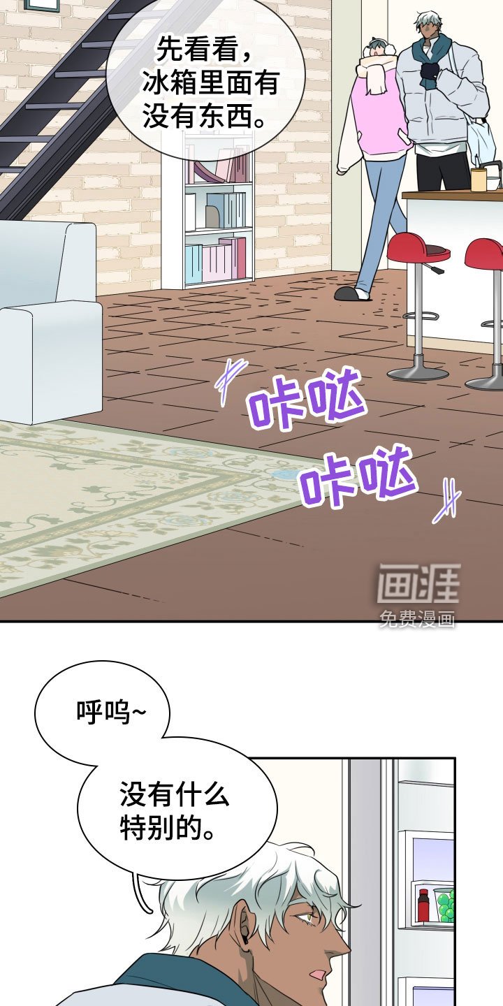 第303章：【番外】连动物都喜欢