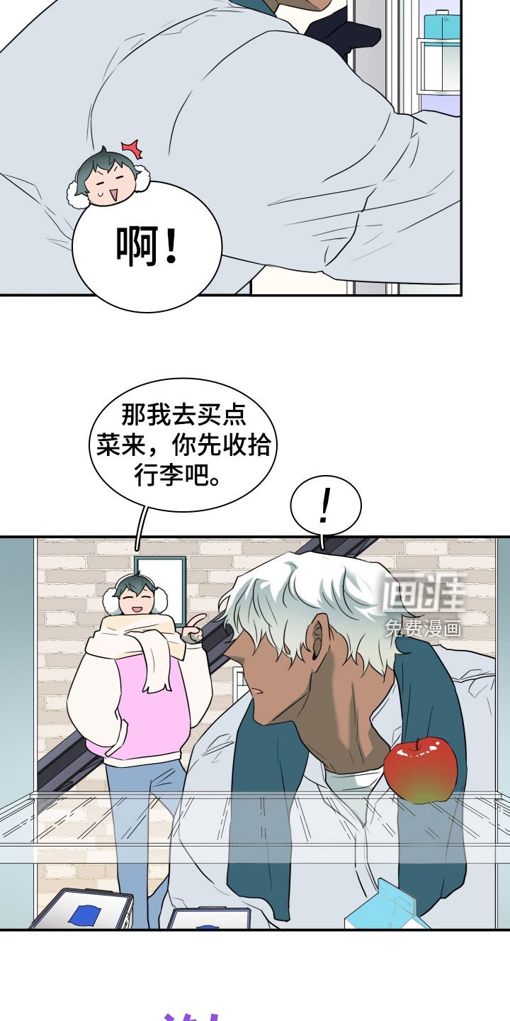 第303章：【番外】连动物都喜欢