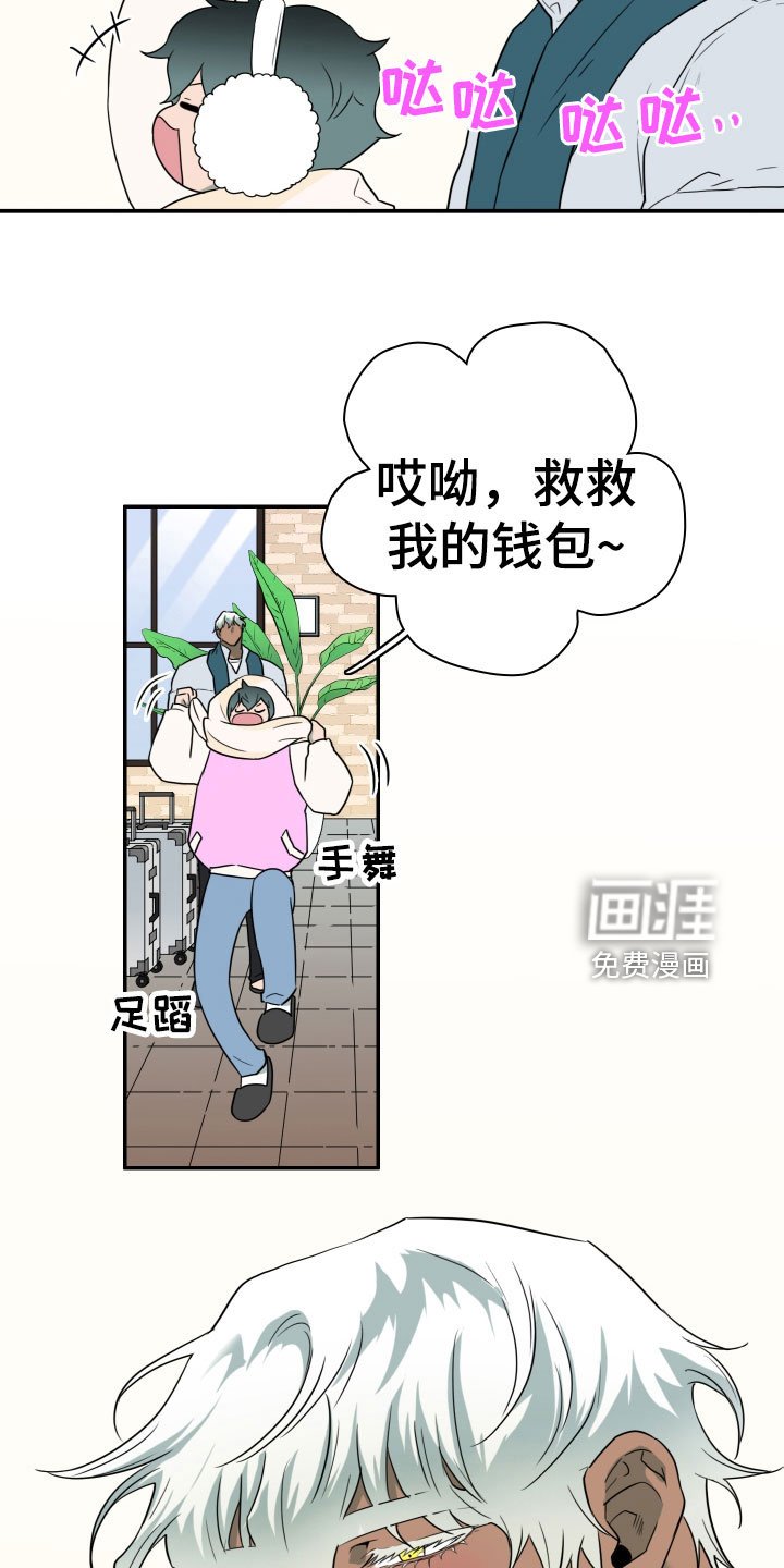 第303章：【番外】连动物都喜欢