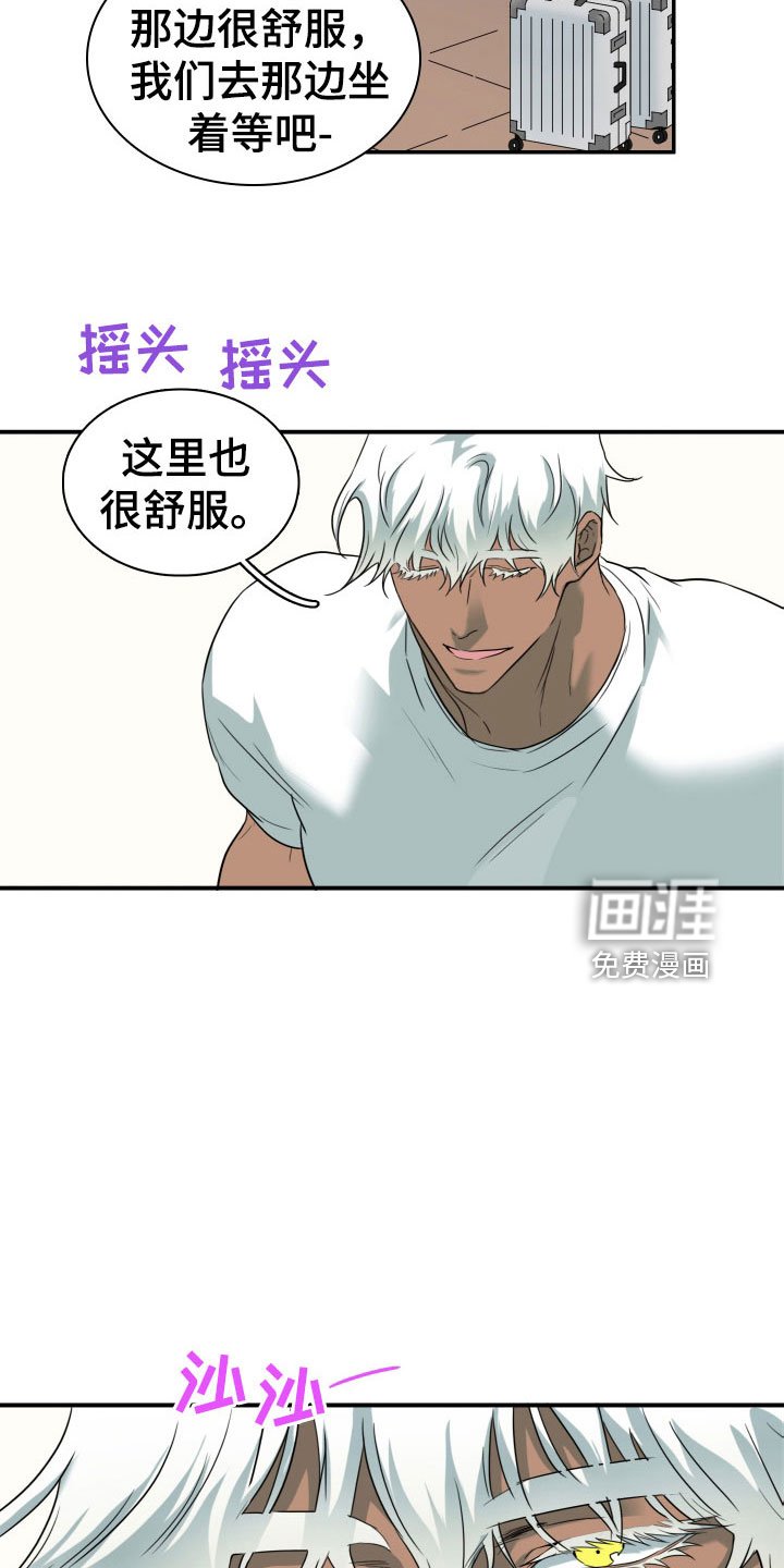 第303章：【番外】连动物都喜欢