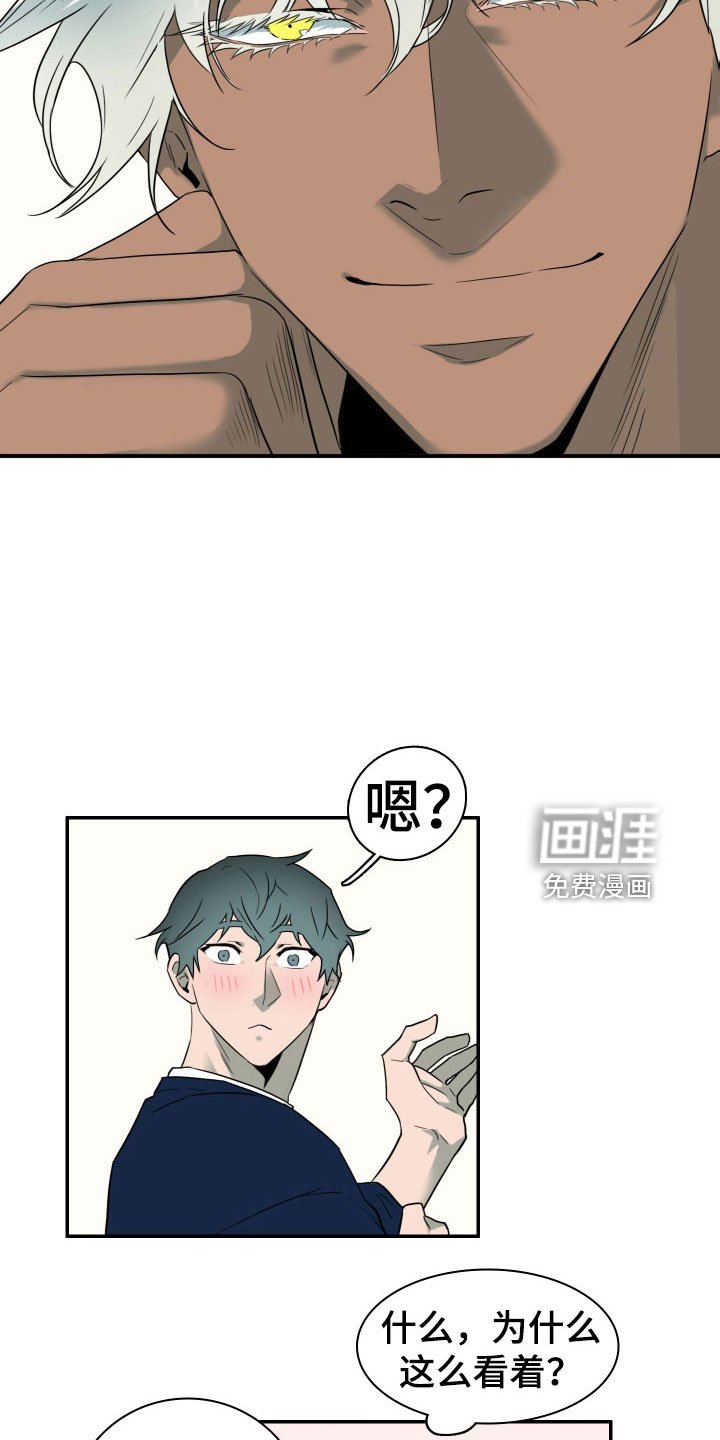 第303章：【番外】连动物都喜欢