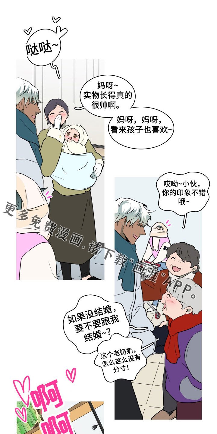 第303章：【番外】连动物都喜欢