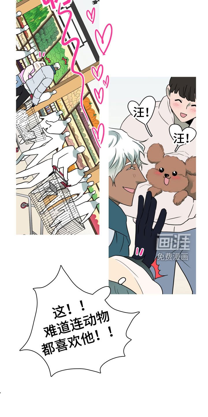 第303章：【番外】连动物都喜欢