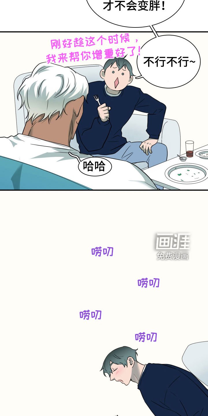 第303章：【番外】连动物都喜欢
