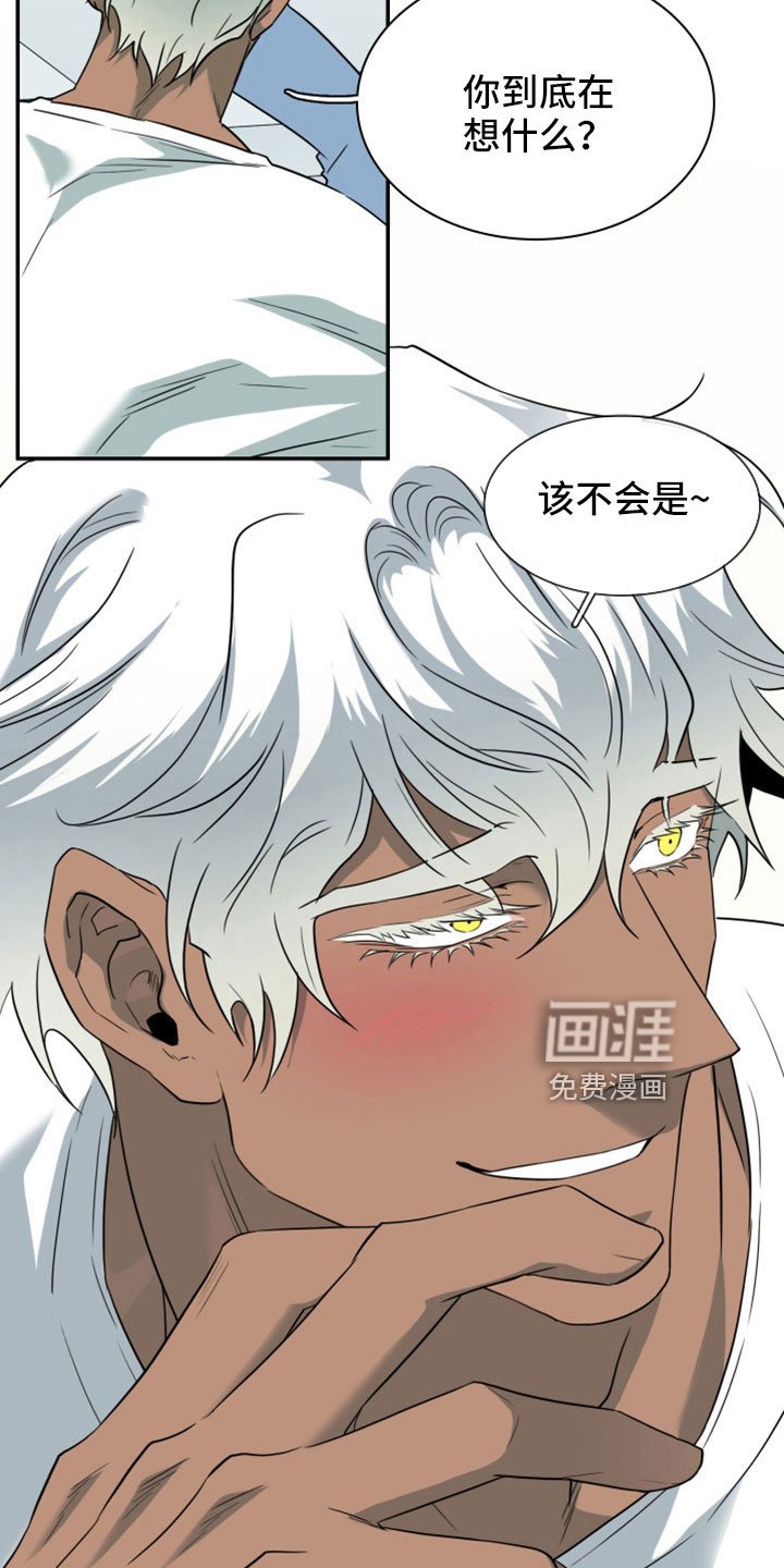 第305章：【番外】不会是误会吧