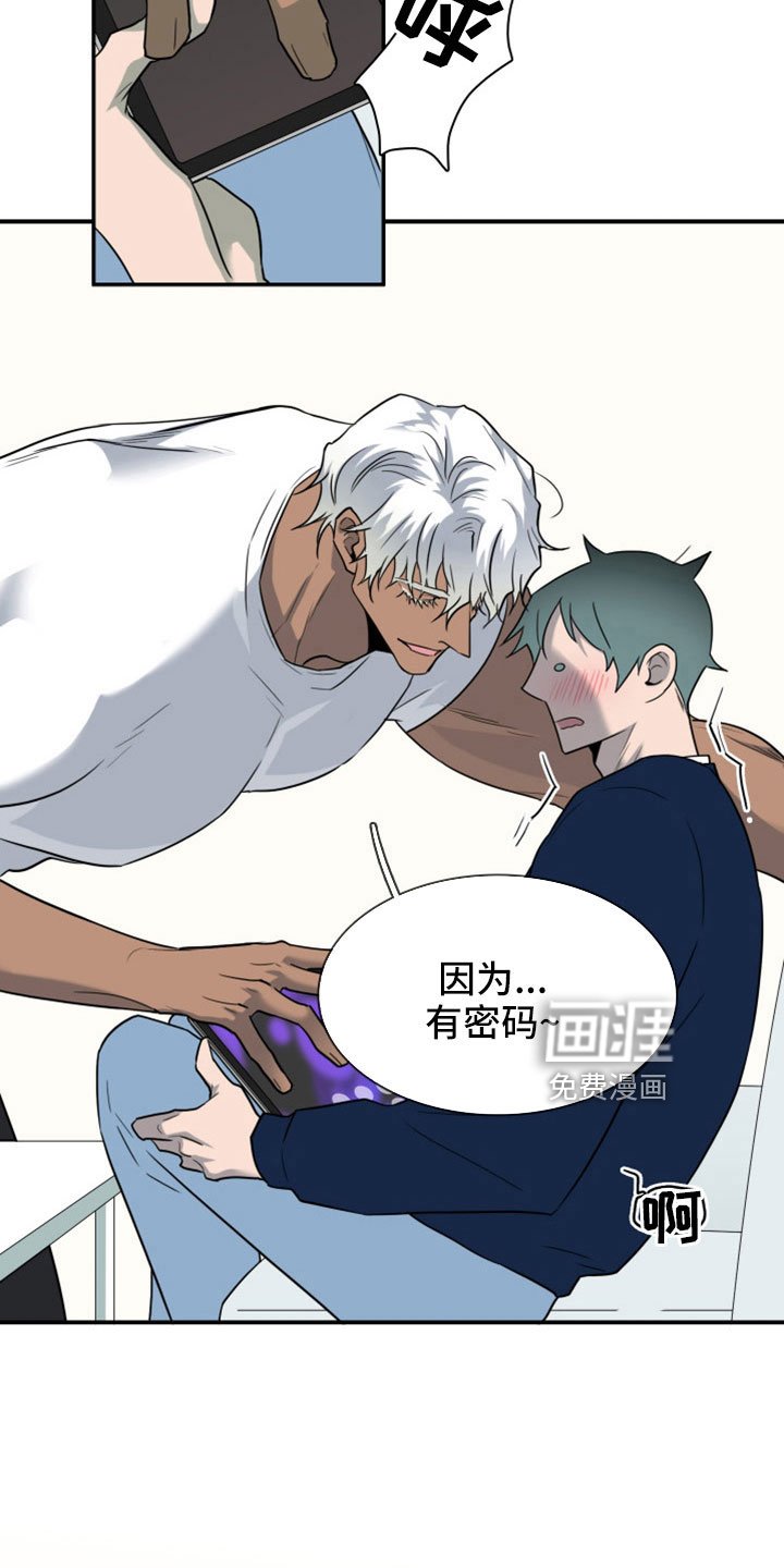 第305章：【番外】不会是误会吧