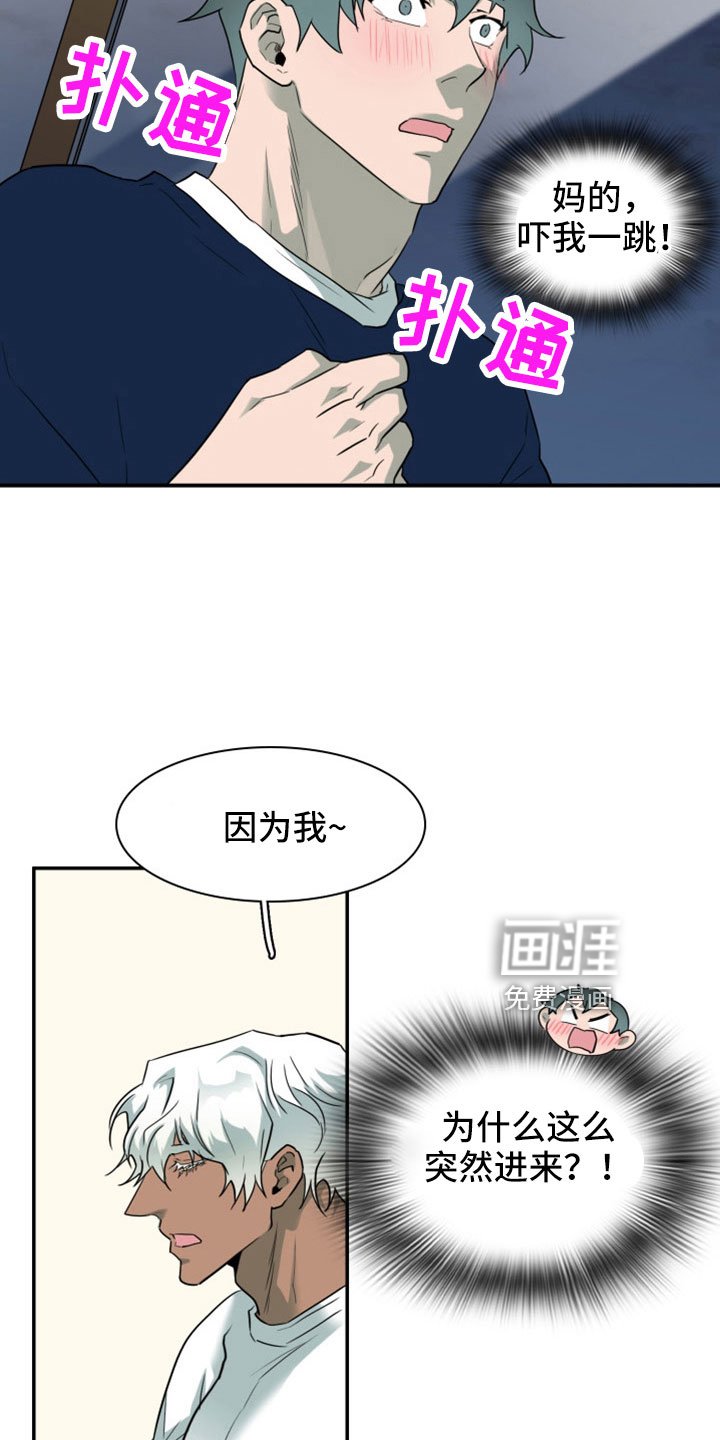 第305章：【番外】不会是误会吧