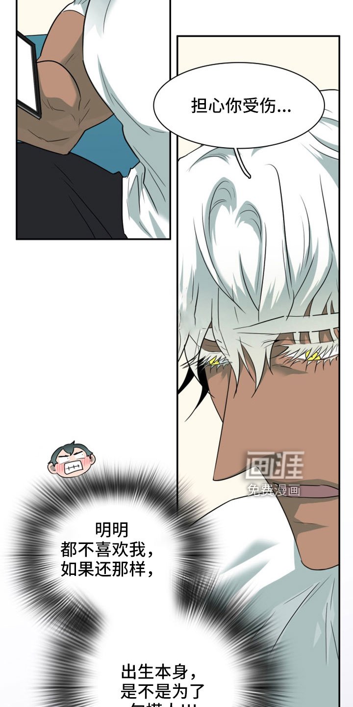 第305章：【番外】不会是误会吧