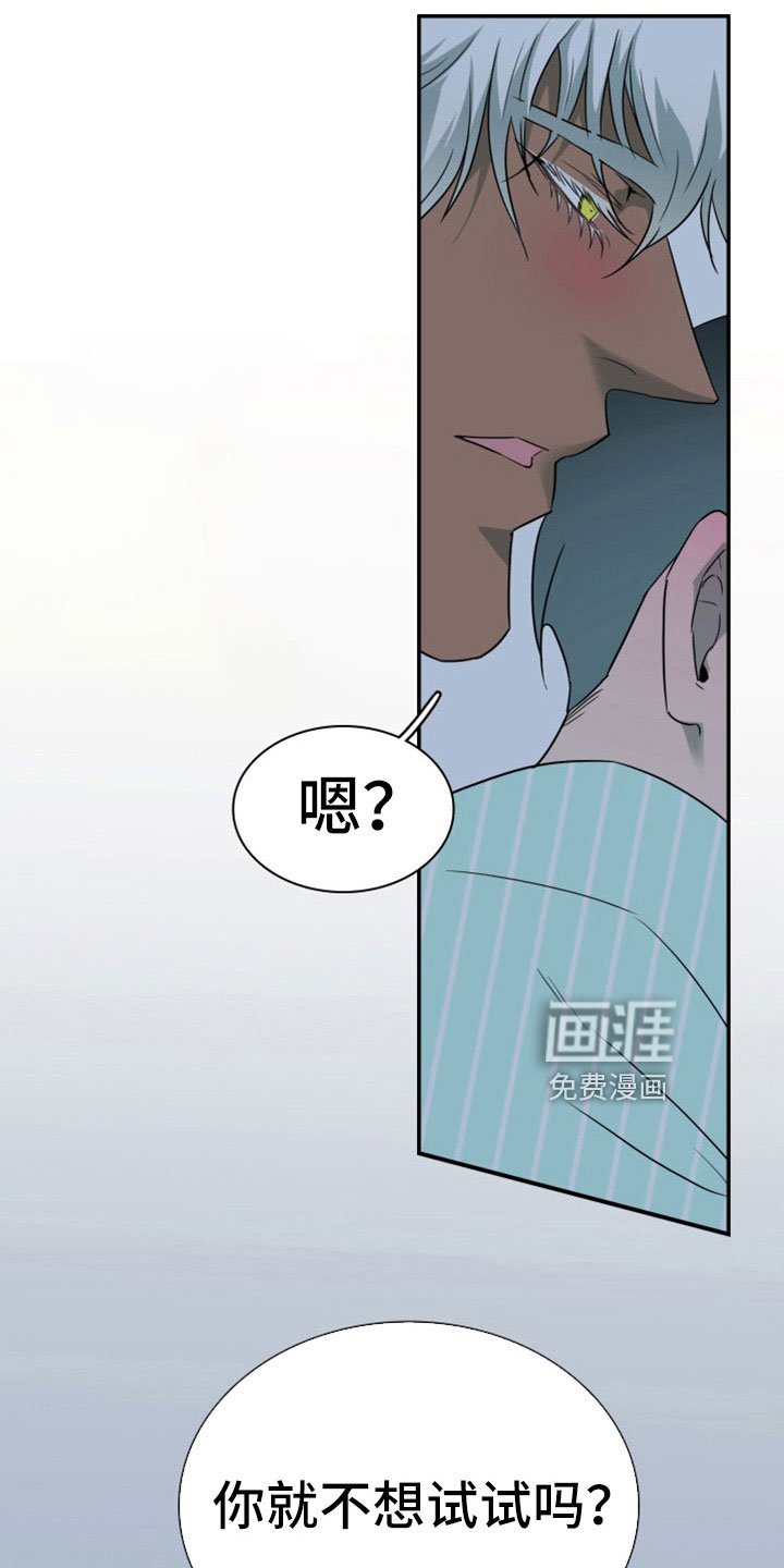 第307章：【番外】回归现实