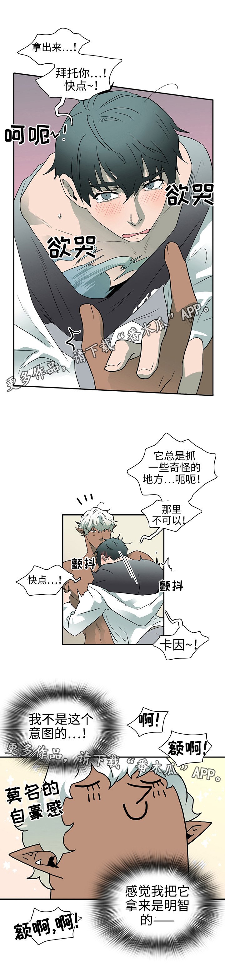 第31章：护身符