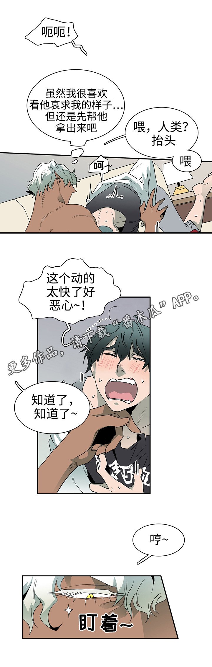 第31章：护身符