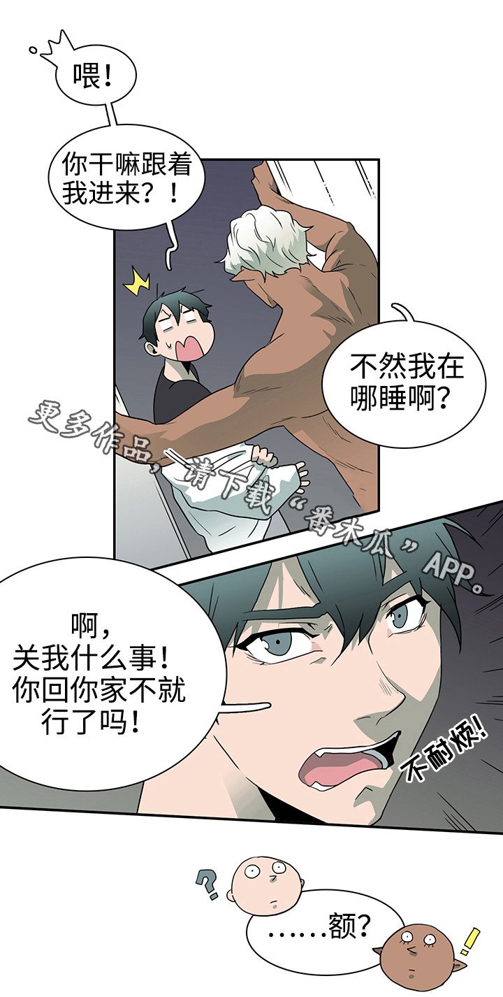 第31章：护身符