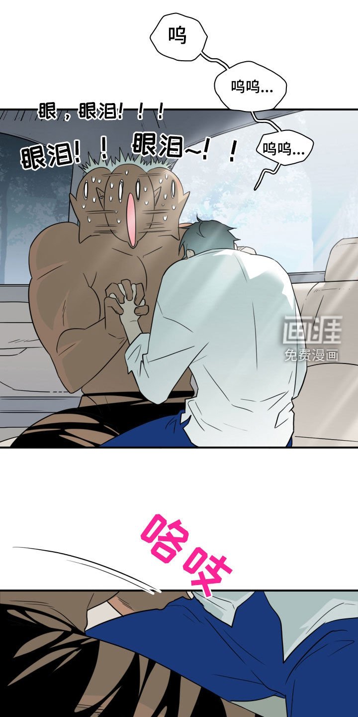 第310章：【番外完结】特别的关系