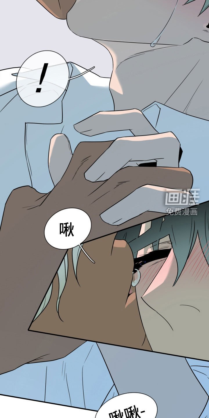 第310章：【番外完结】特别的关系