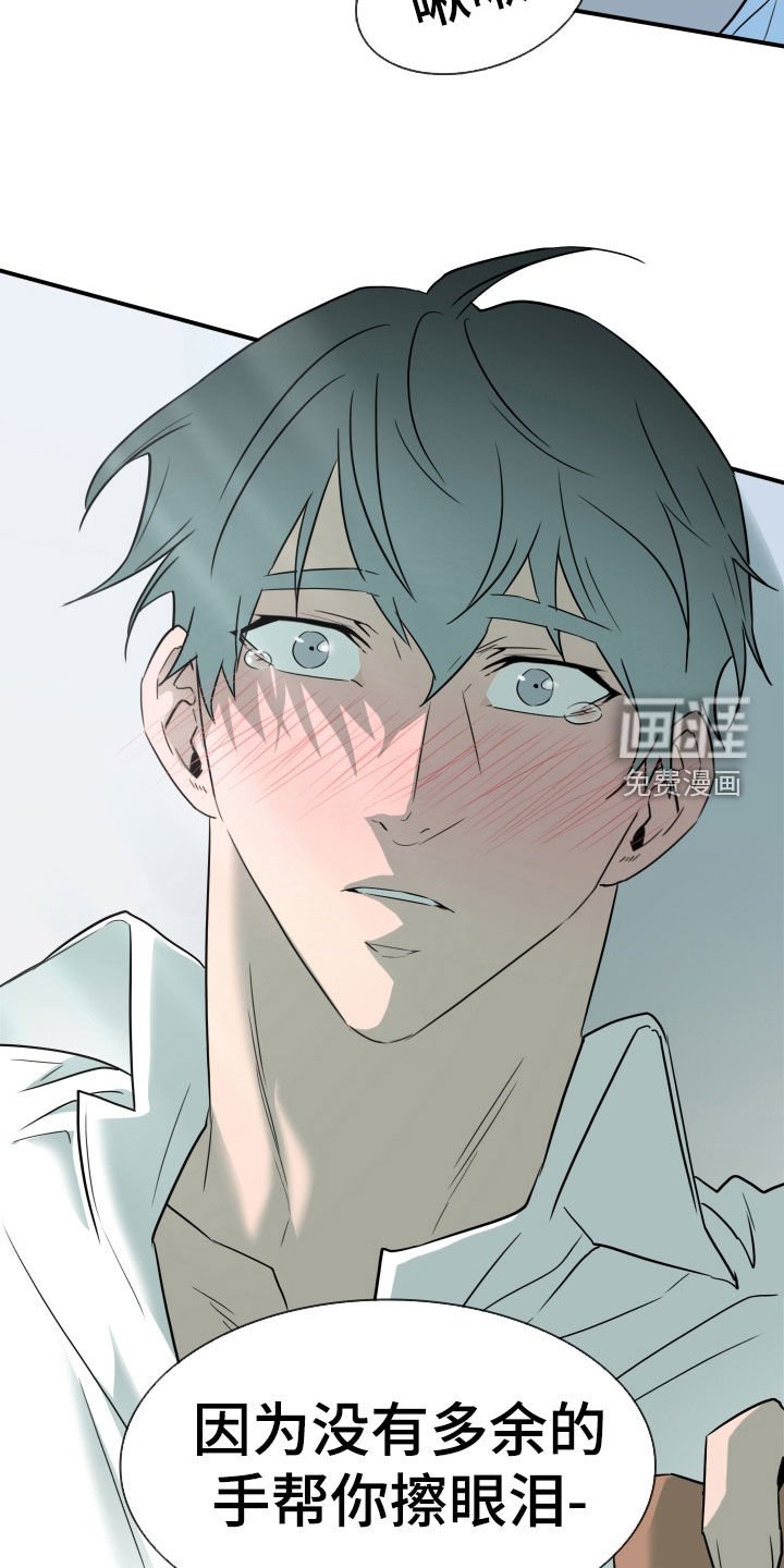第310章：【番外完结】特别的关系