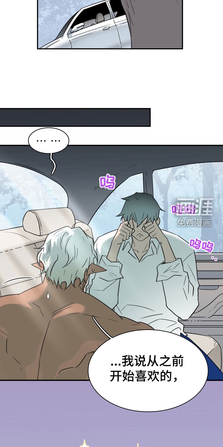 第310章：【番外完结】特别的关系