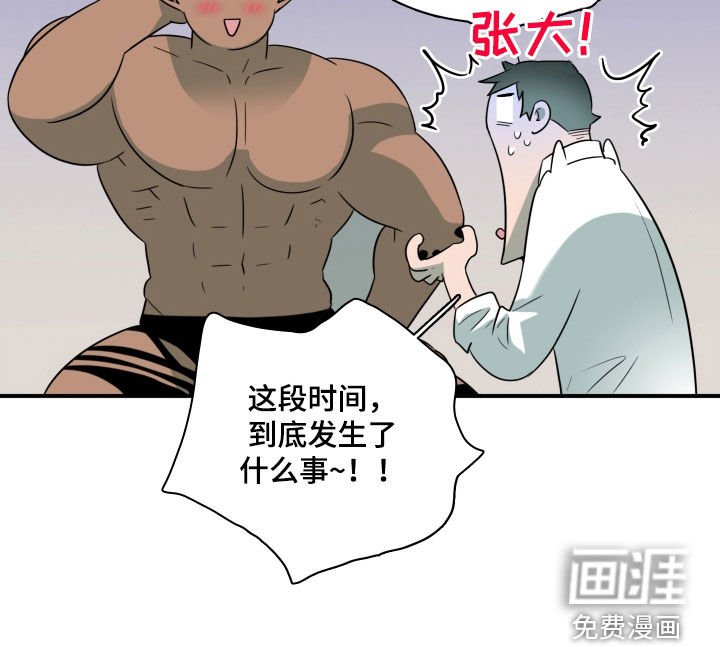 第310章：【番外完结】特别的关系