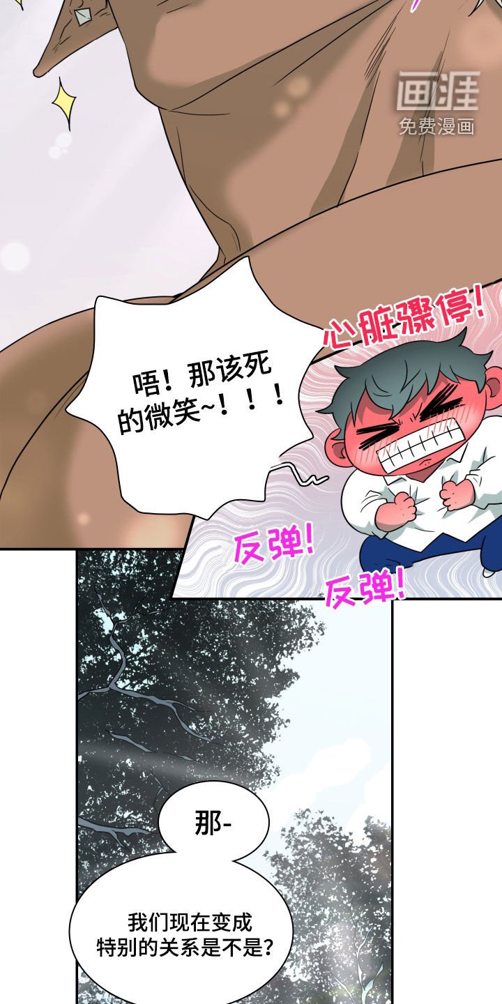 第310章：【番外完结】特别的关系