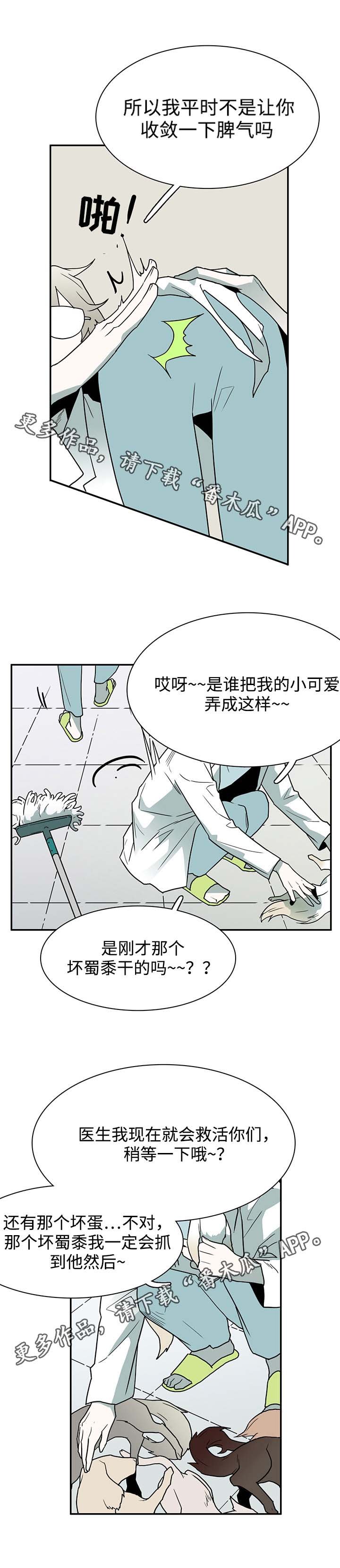 第34章：纪念品