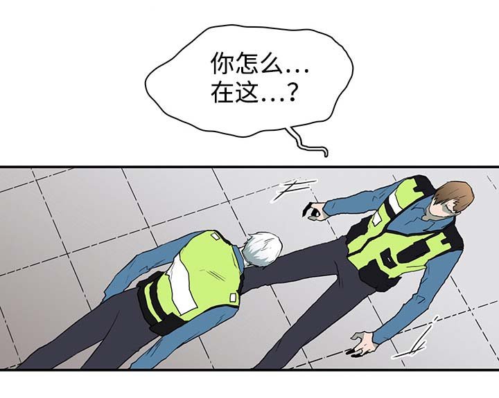 第41章：幻觉