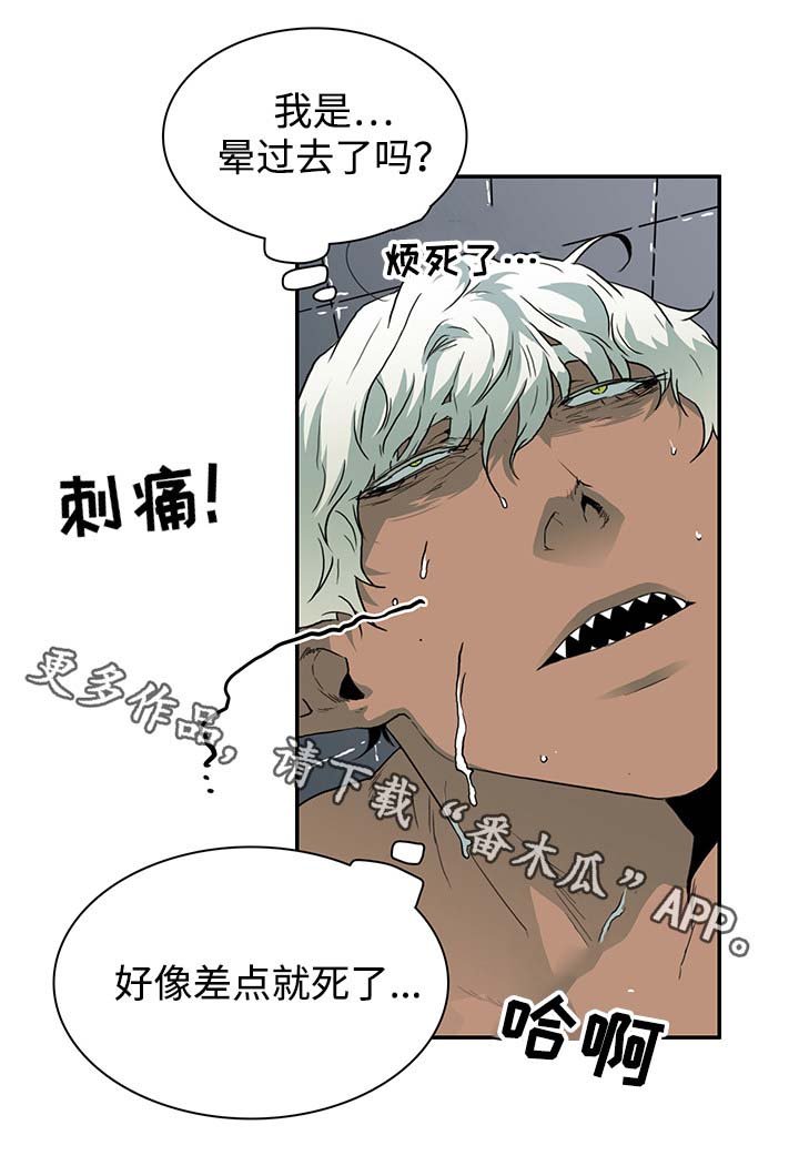 第44章：苏醒