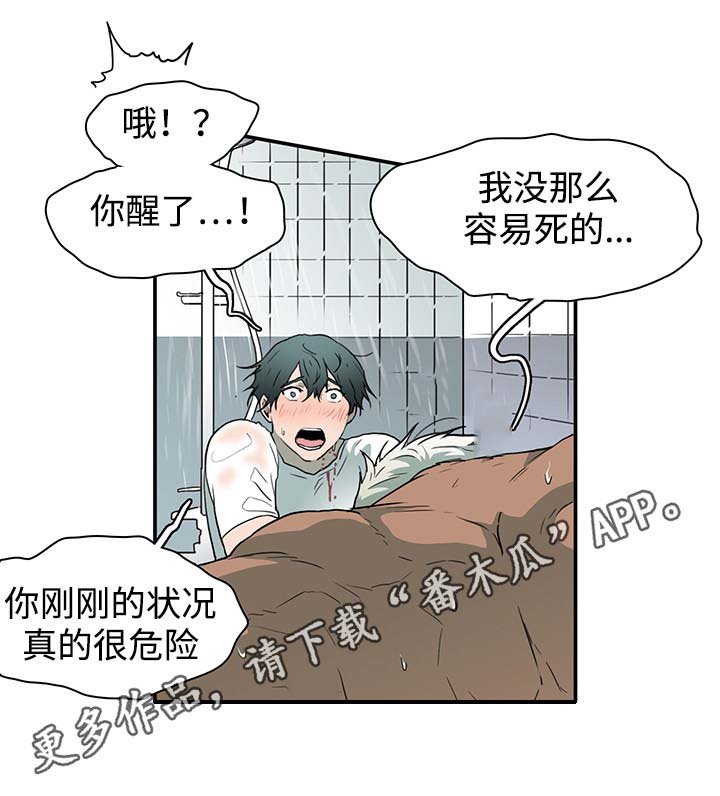 第44章：苏醒