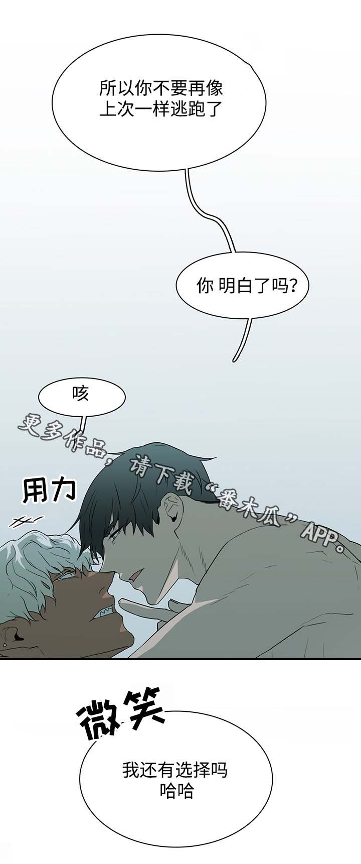 第45章：回答问题