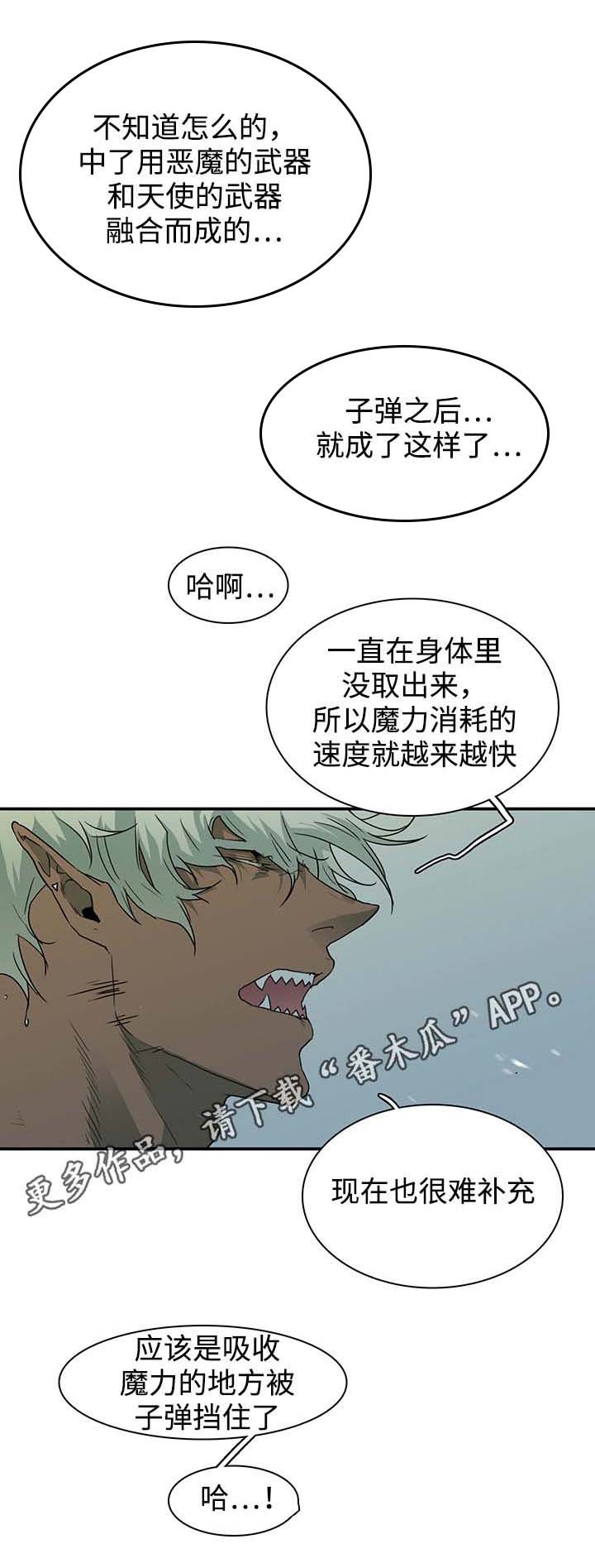 第45章：回答问题