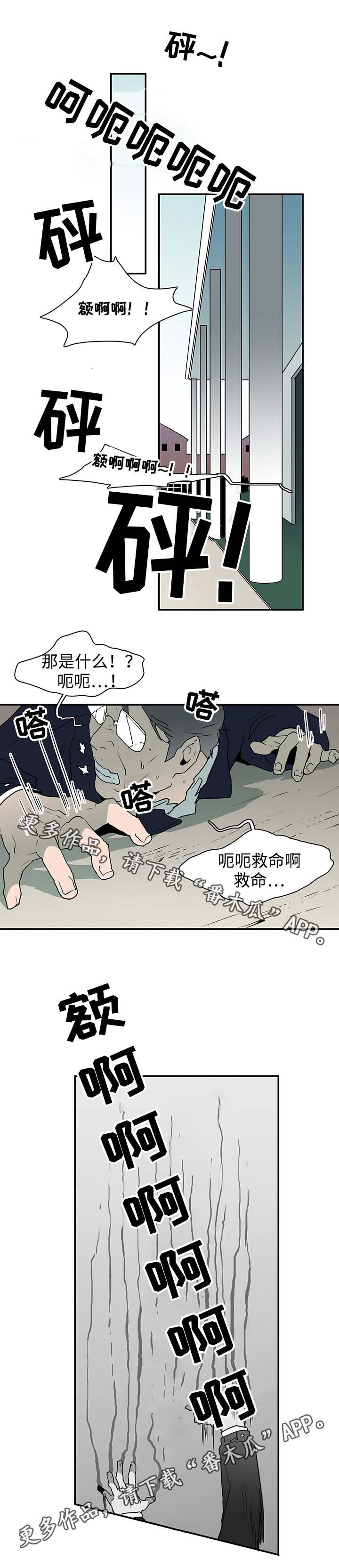 第46章：怪事