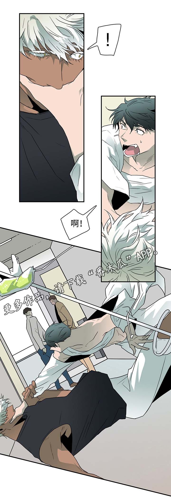 第53章：来迟了