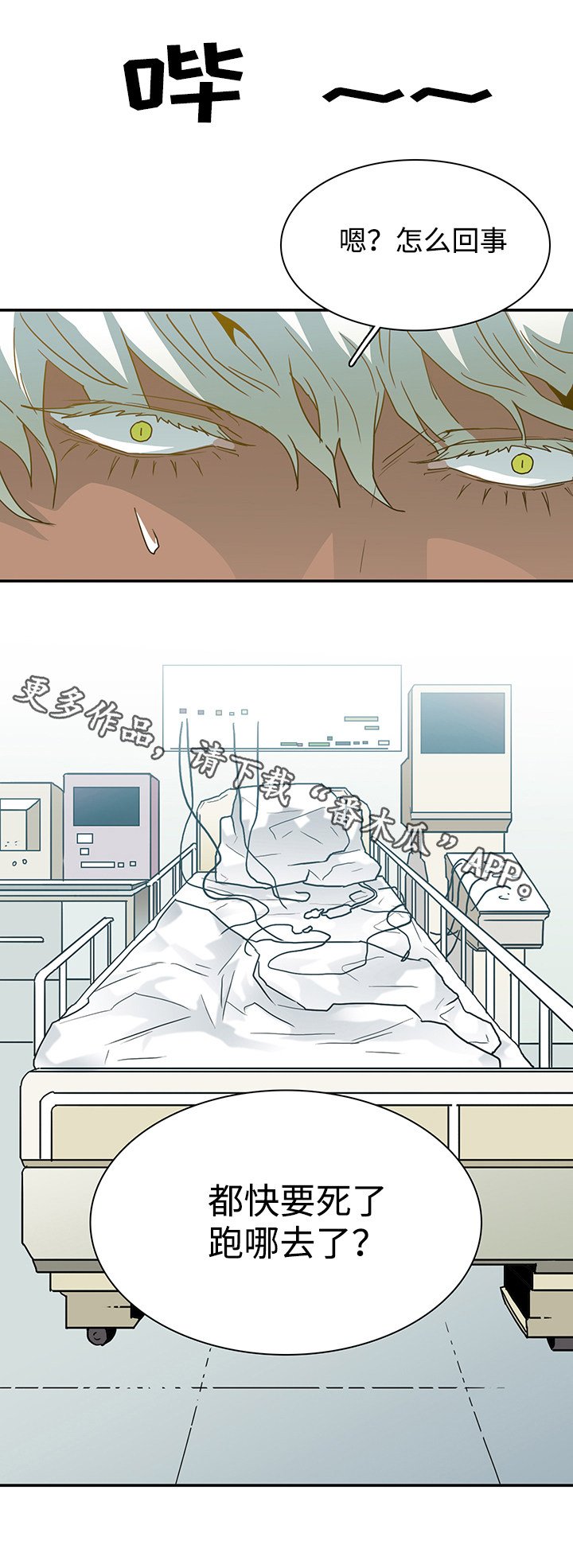 第54章：警告